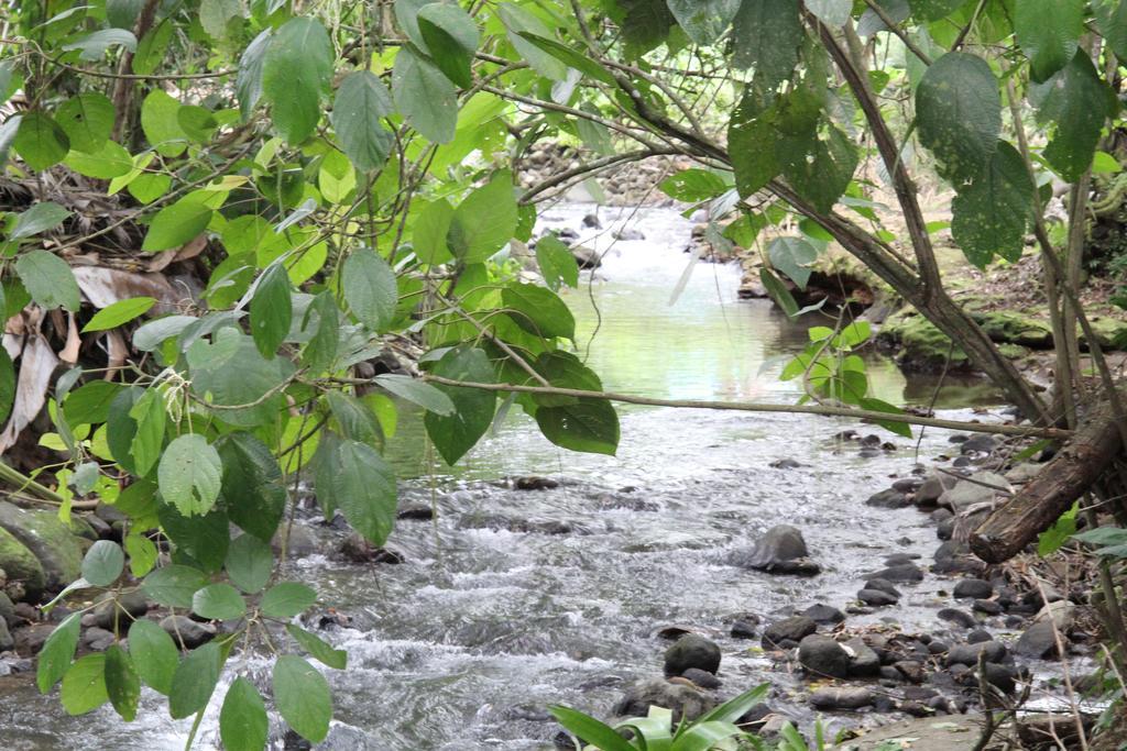 Hotel Monte Real La Fortuna Zewnętrze zdjęcie